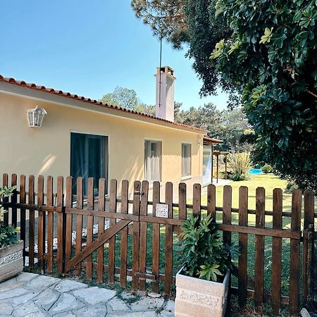 Villa Casa Girassol With A Beautiful Private Pool And Garden Sintra Esterno foto